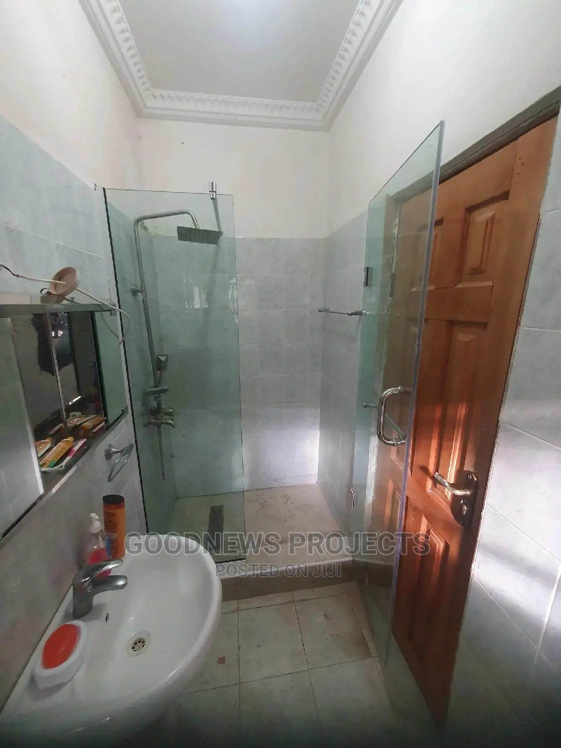 Frameless Glass Hinge Shower Bathroom