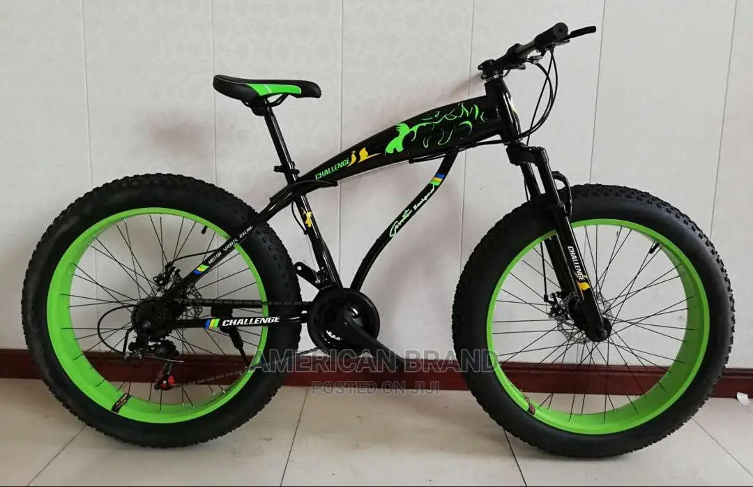 Newly Imported Fat Tire Bicycle
