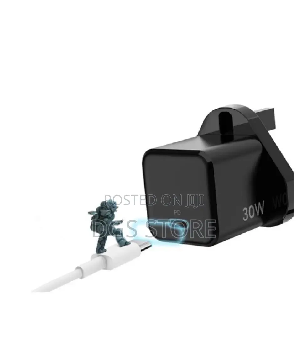 Green Lion Mini Pro Fast 33W Gan Charger