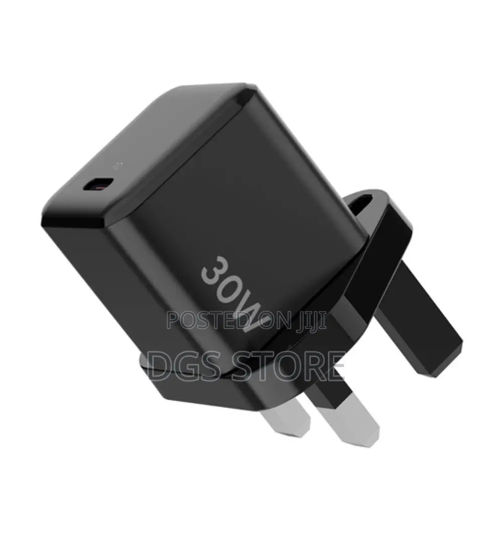 Green Lion Mini Pro Fast 33W Gan Charger