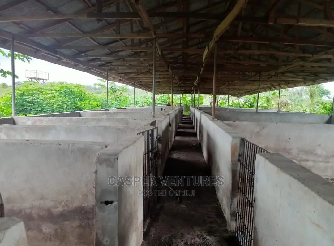 5 Plots of Documented Fenced Land for Sale in Ibeju