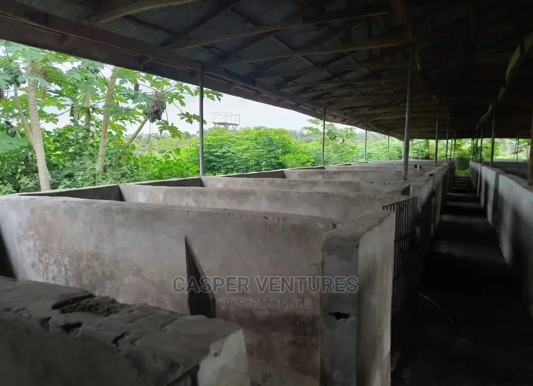5 Plots of Documented Fenced Land for Sale in Ibeju