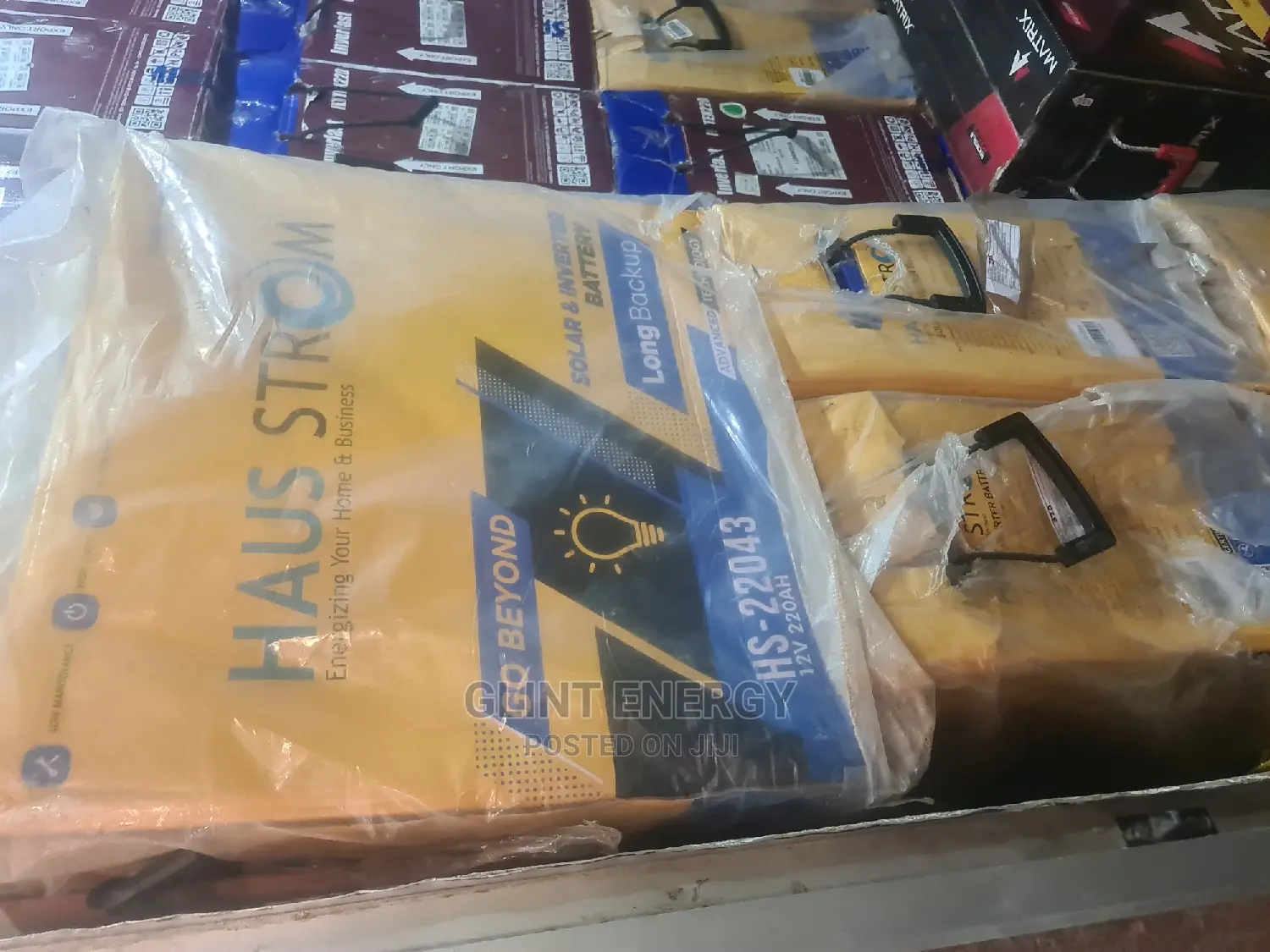 220ah 12v Haus Storm Battery