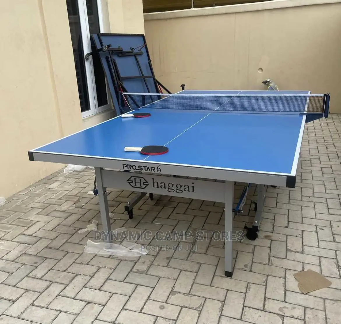 Haggai Outdoor Pure Aluminium Table Tennis