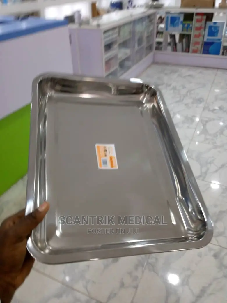 Stainless Steel Instrument Tray 40*30*4.8cm