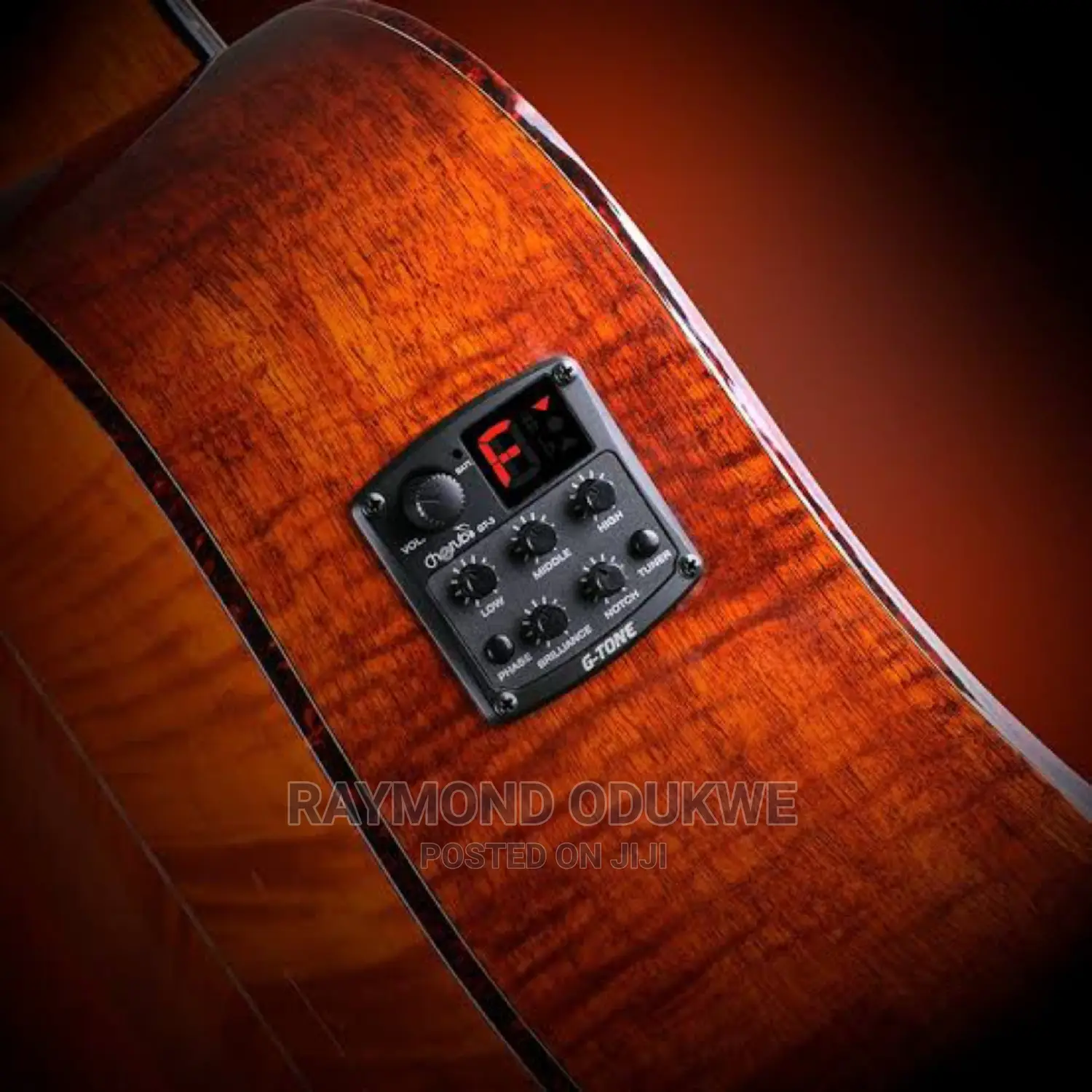 Acoustic Electric Guitar With Inbuilt Effect