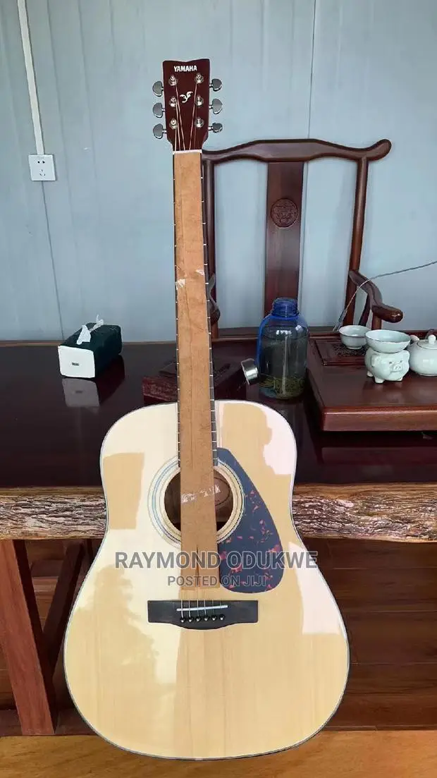 Acoustic Electric Guitar With Inbuilt Effect