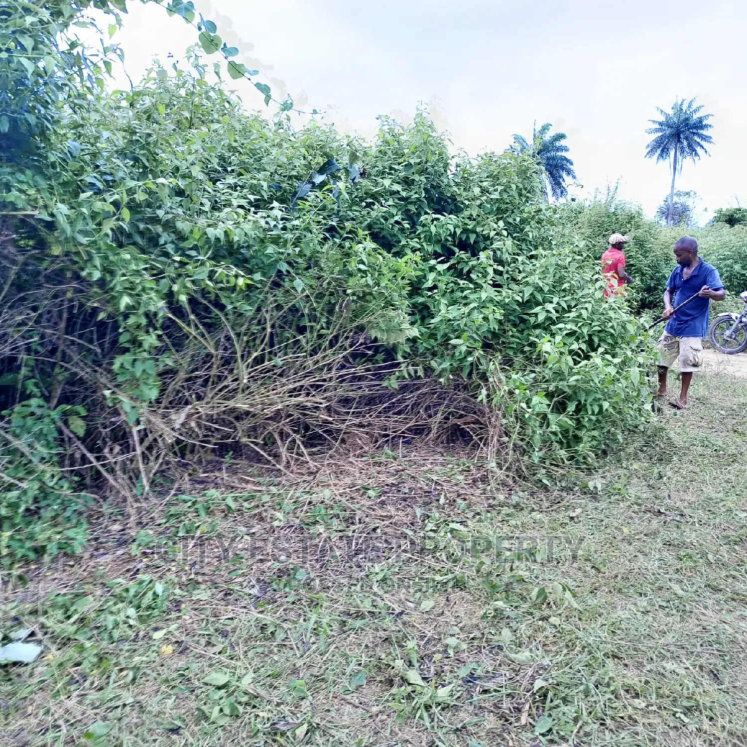 Buyand Build Land for Sale at Omagwa Ph