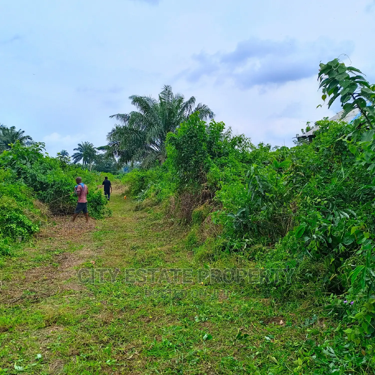 Buyand Build Land for Sale at Omagwa Ph