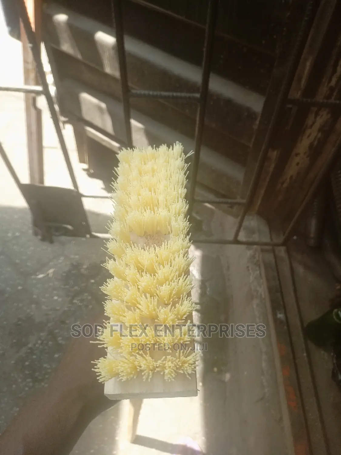 Washing Brush