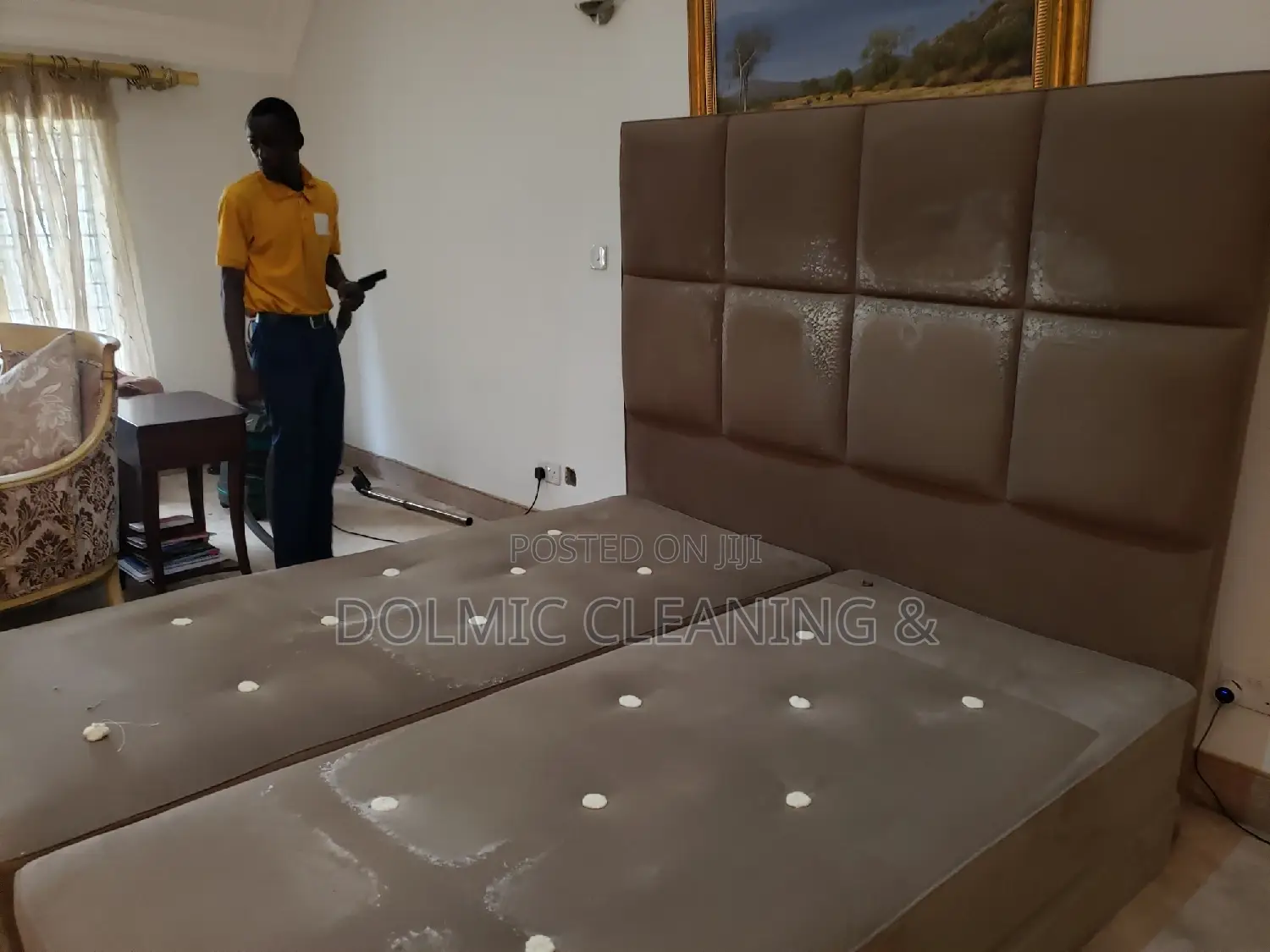 Furniture and Upholstery Cleaning