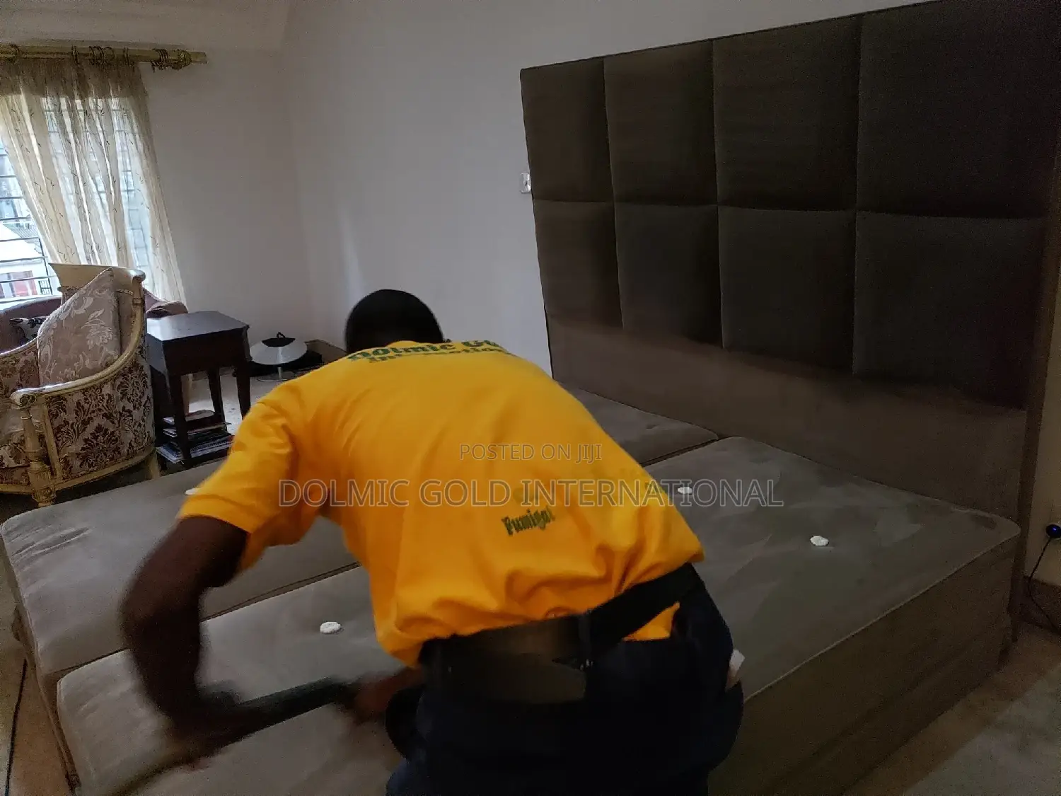 Upholstery Cleaning