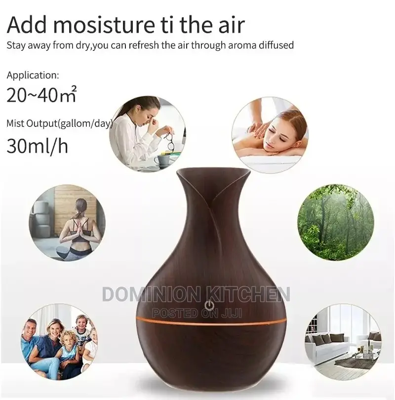 Air USB Oil Diffuser Ultrasonic Cool Mist Humidifier/Purifi