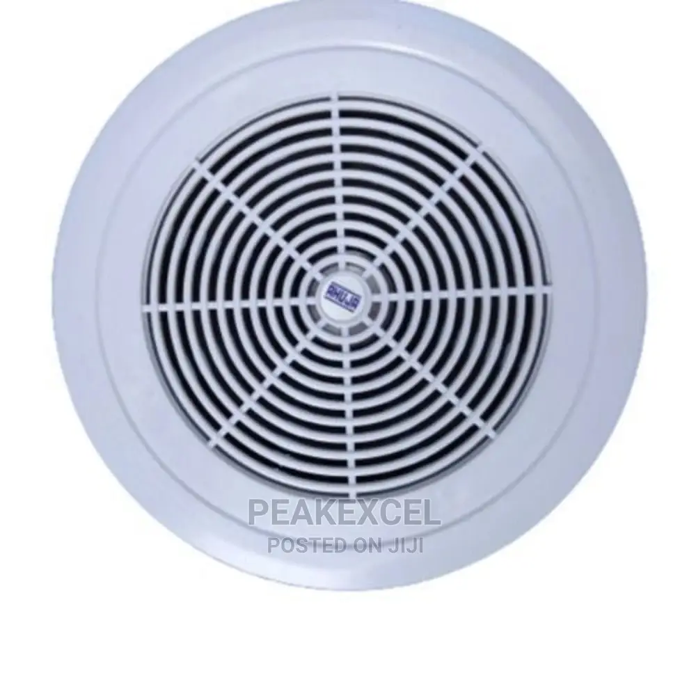6inchs Ceiling Speaker - Cs-663t