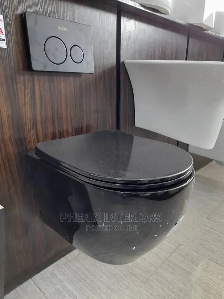 Wall Hung Concealed Water Closet Toilet