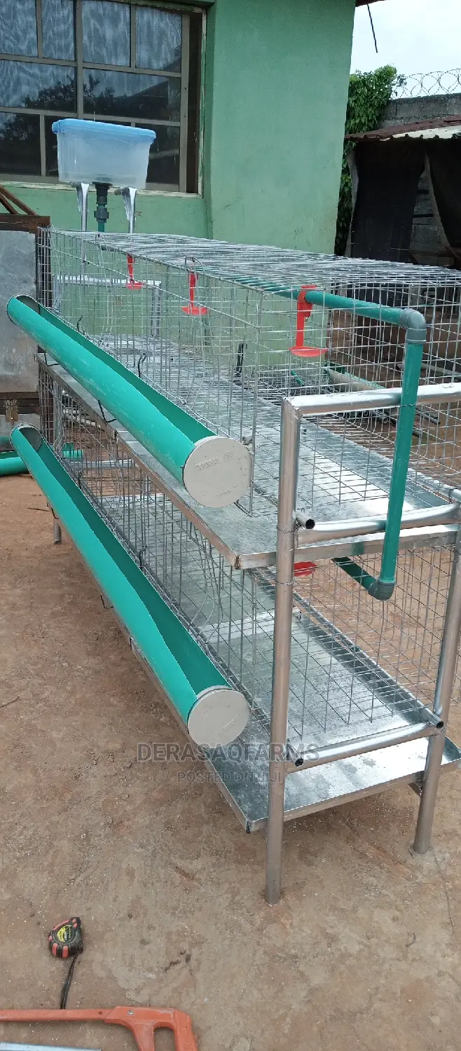 Broiler Cage With Automatic Drinker and Collector