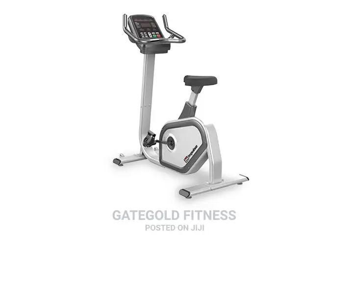 Commercial Upright Bike Pu300
