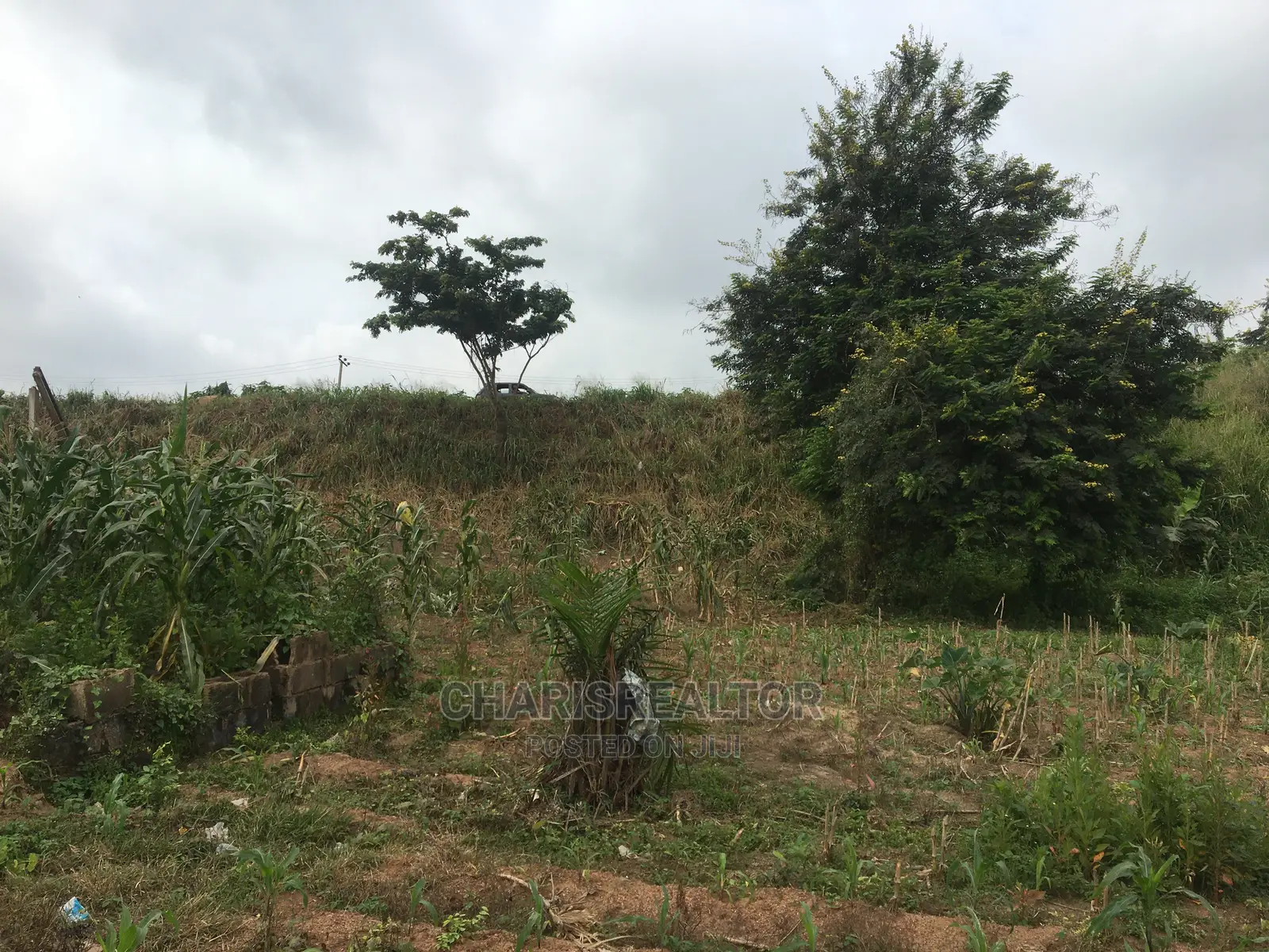 OYSH Estates Plots Alakia Expressway
