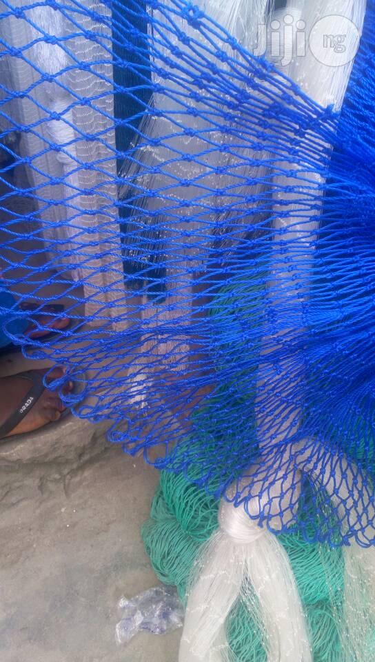 Scaffold Net
