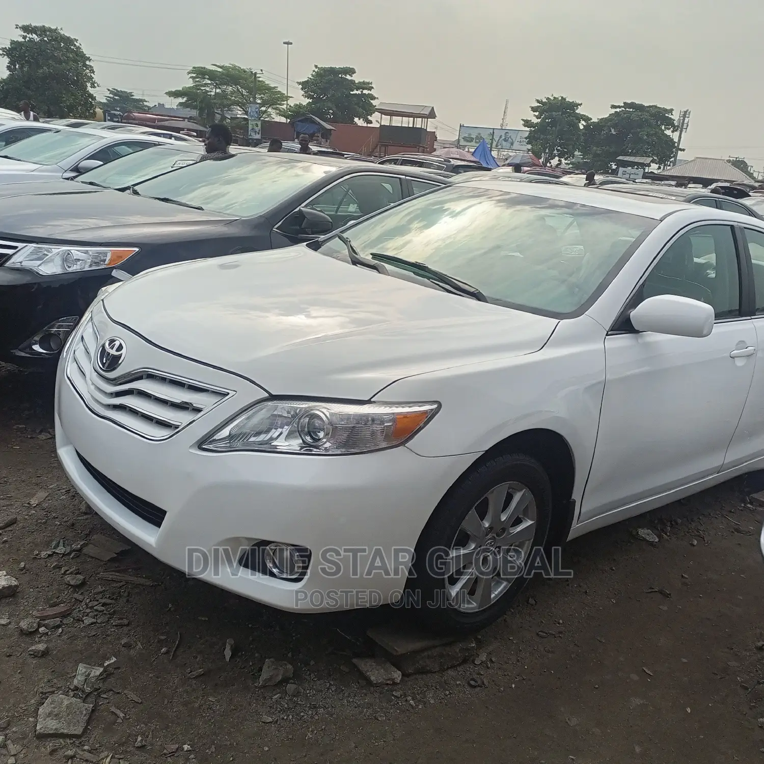 Toyota Camry XLE 4dr Sedan (2.4L 4cyl 5A) 2009 White
