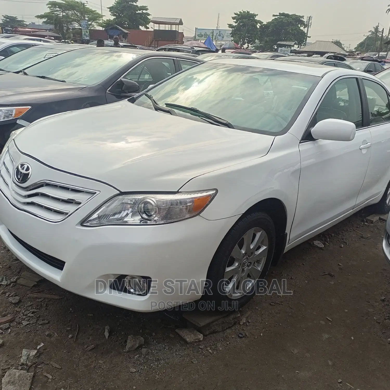 Toyota Camry XLE 4dr Sedan (2.4L 4cyl 5A) 2009 White
