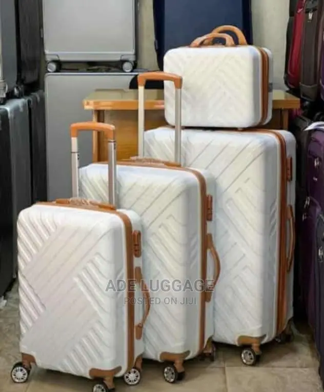 Swiss Animated Luxury Luggage Box