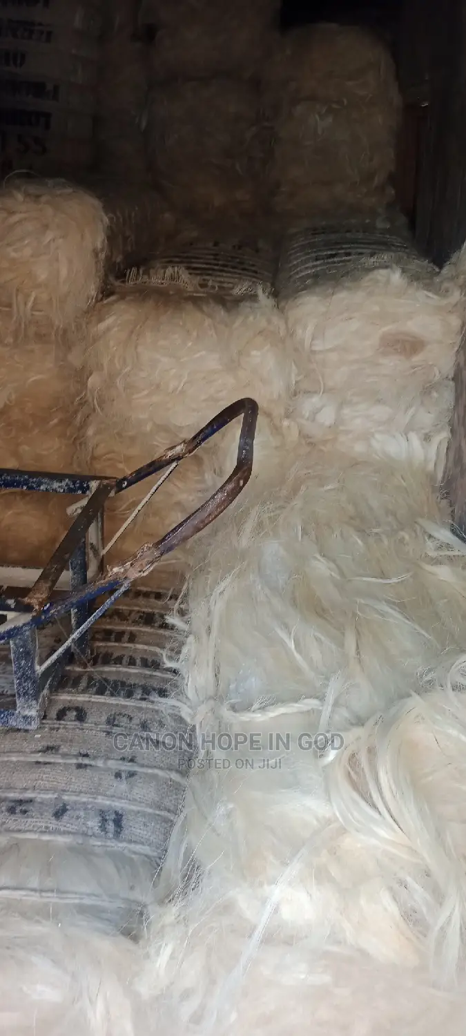 Kenya Ug Sponge/Fillers