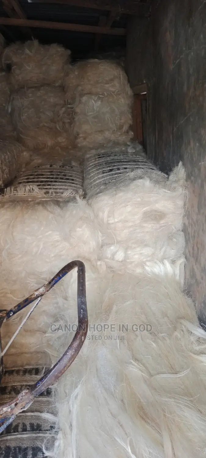 Kenya Ug Sponge/Fillers