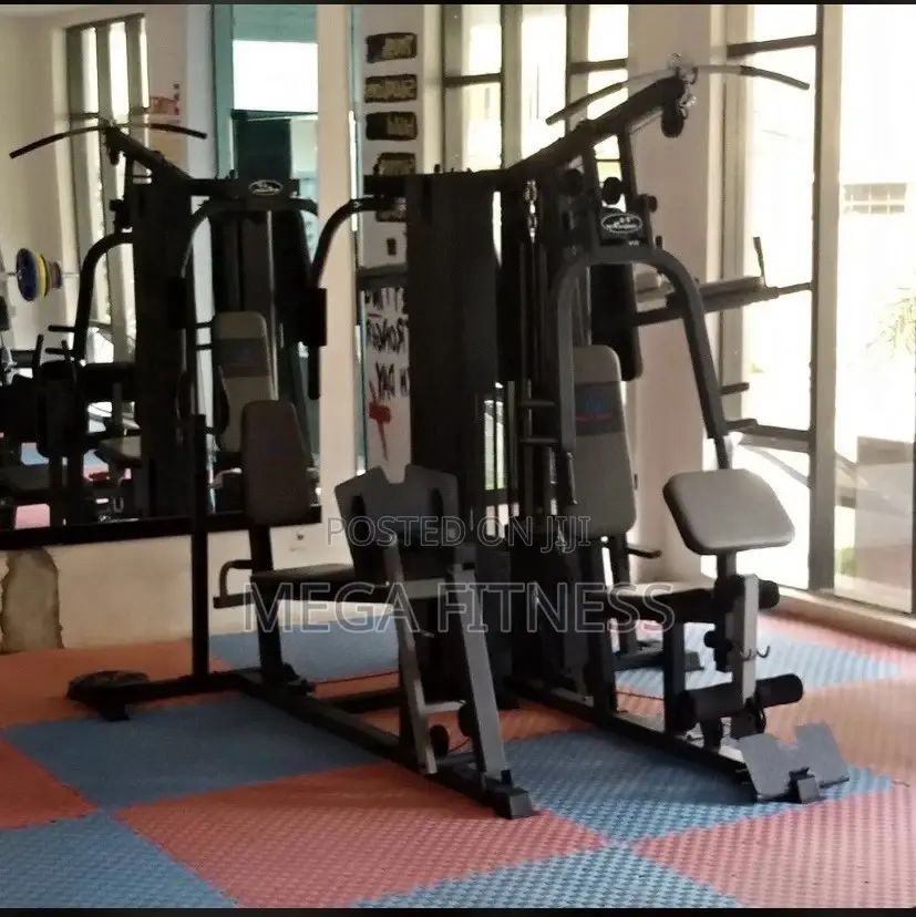 Multi-Station Gym