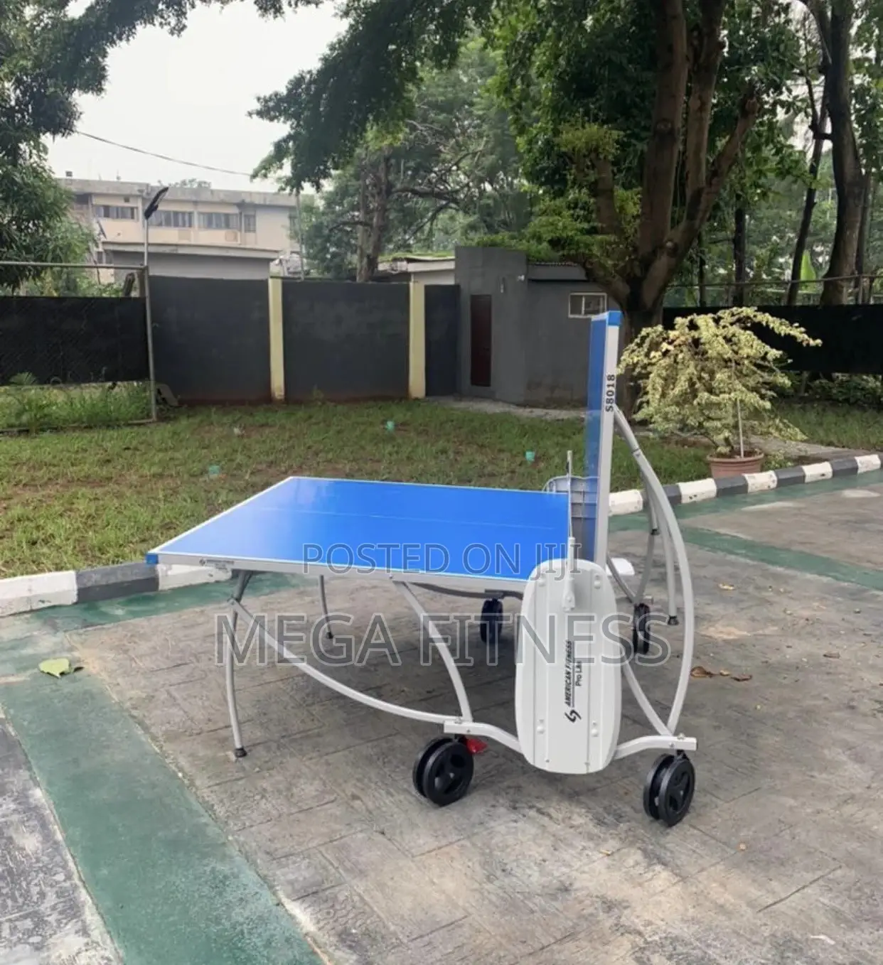 Outdoor Table Tennis (American Fitness)