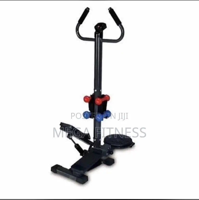 Standing Stepper With Twister