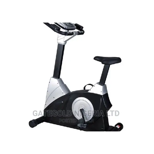 GG9.5 Upright Bike