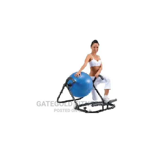 Ab Exercise Ball0