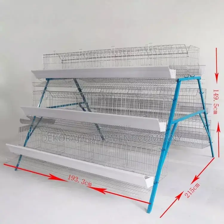 96 Birds Imported Cage 20+ Years Lifespan