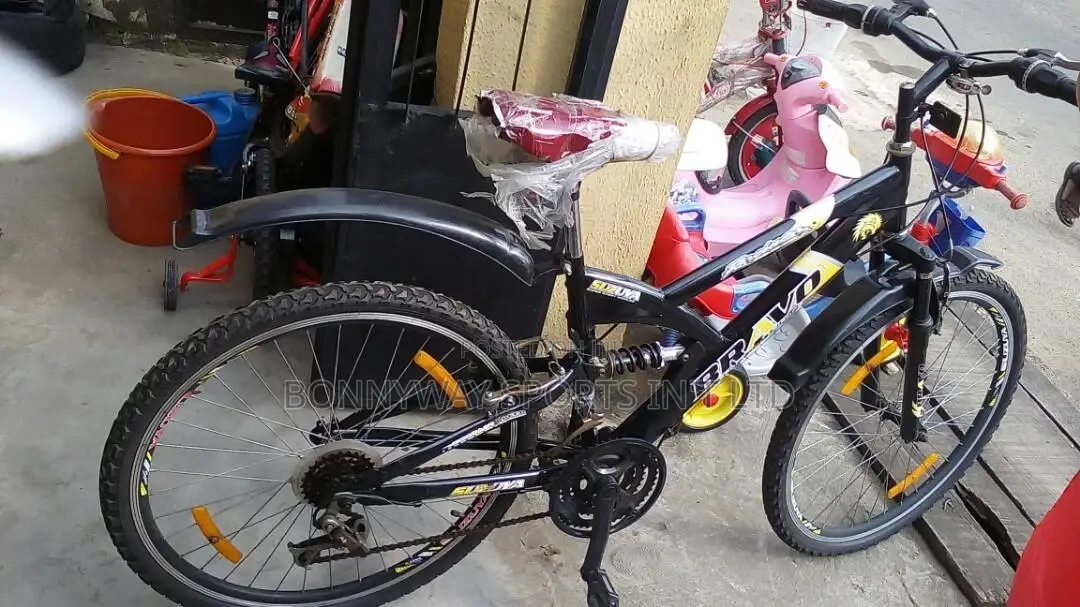 Adult Bicycle