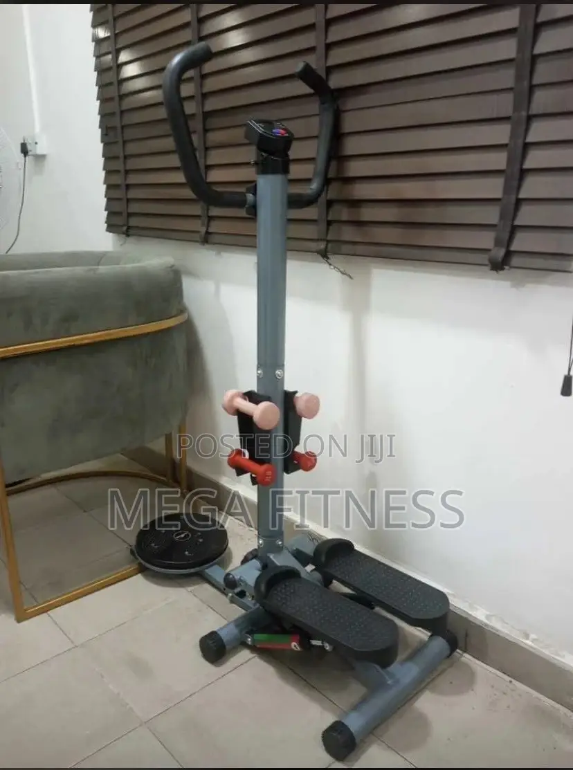 Standing Stepper With Twister