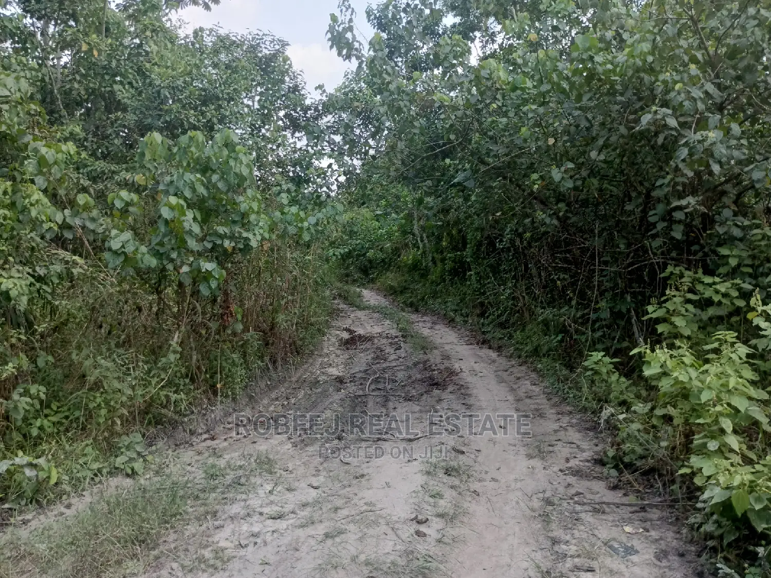 Over 100 Acres of Land For Sale in Elerangbe Ibeju