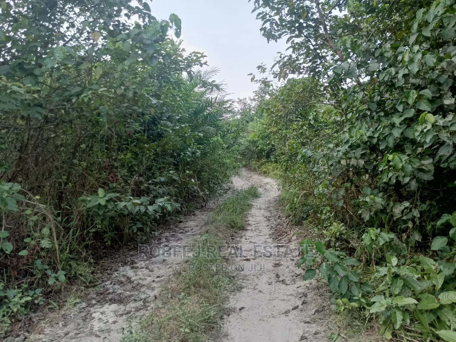 Over 100 Acres of Land For Sale in Elerangbe Ibeju