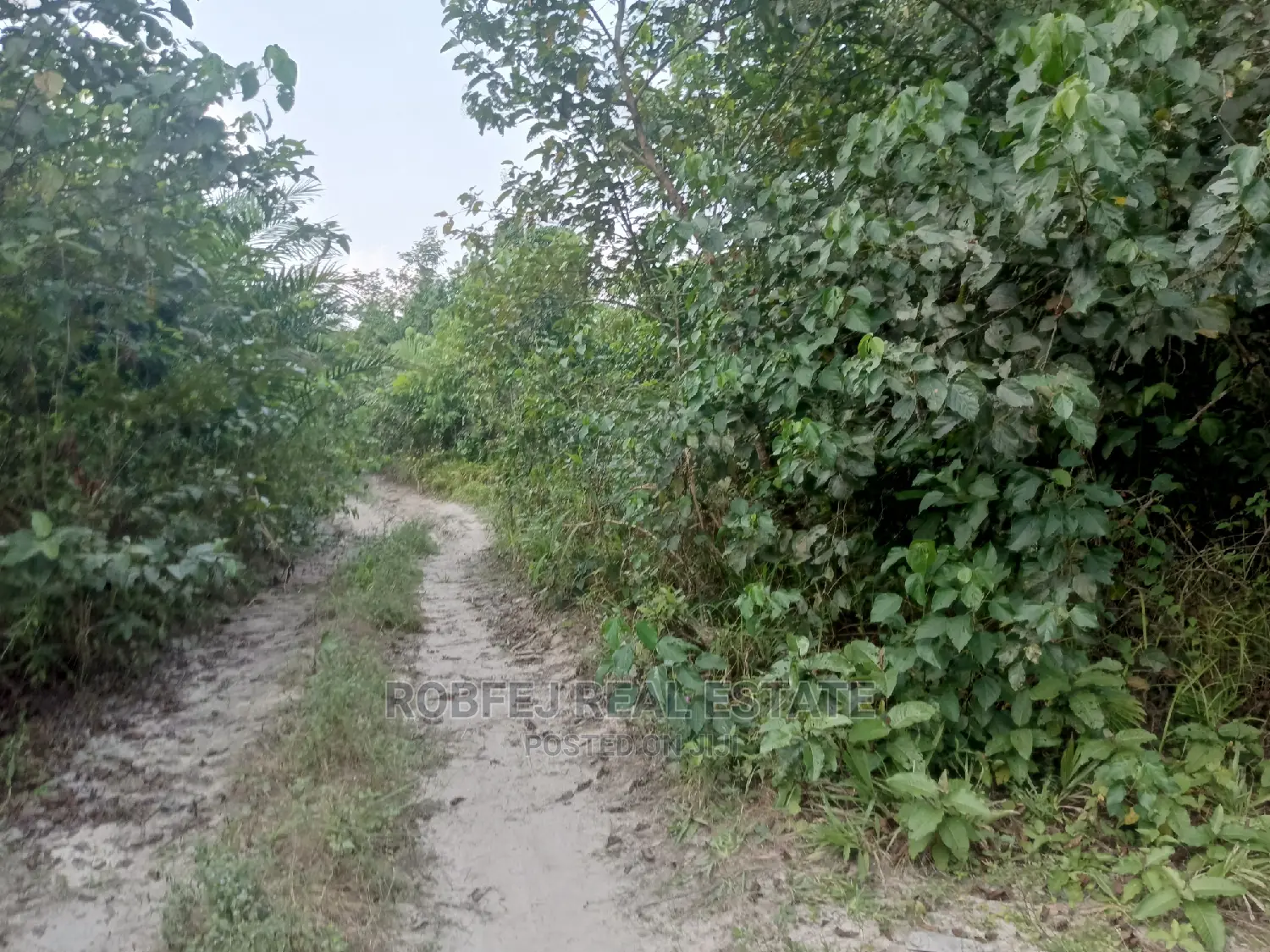 Over 100 Acres of Land For Sale in Elerangbe Ibeju