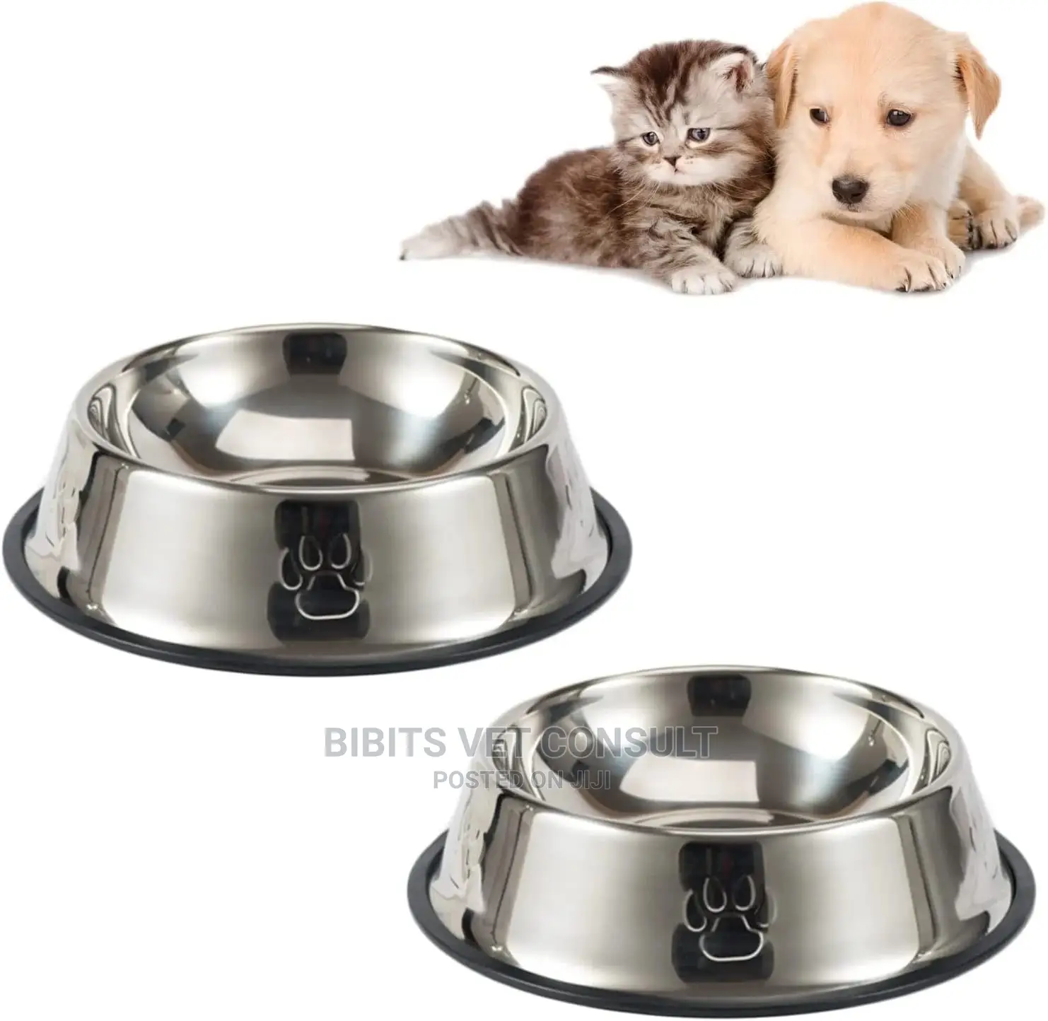 Cat Puppies Feeding Bowl Antiskid