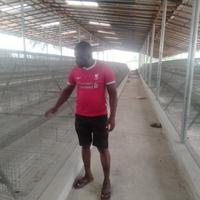 seller