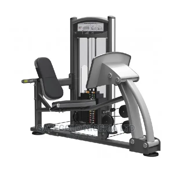IT9310 Leg Press