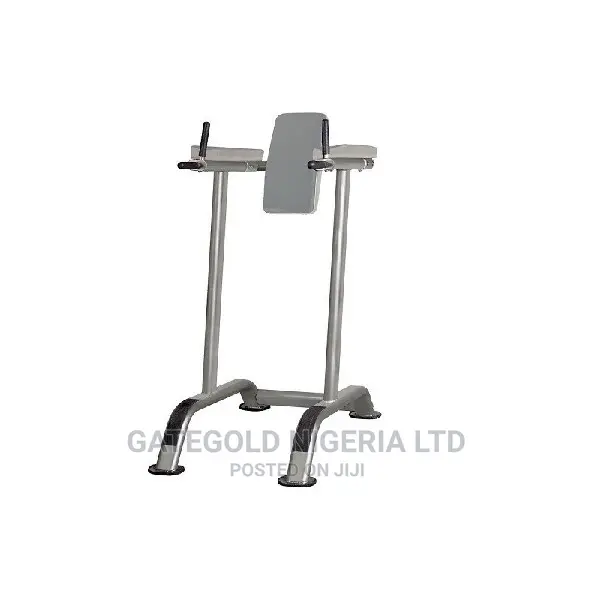IT7010E Vertical Kneel Raise