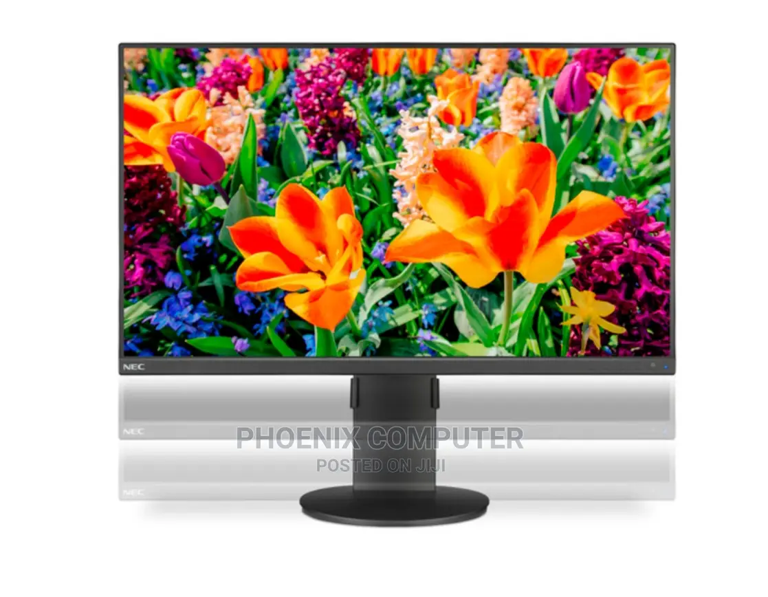 NEC Multisync E243f-Bk 23.8" 16:9 Full HD IPS Monitor