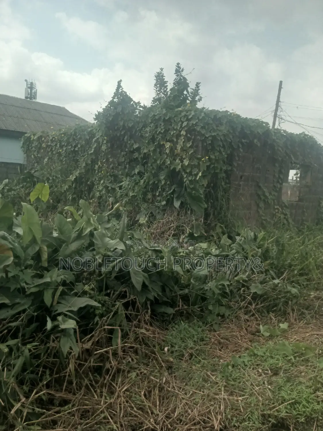 Half Plot of Land at Council Idimu for Sale