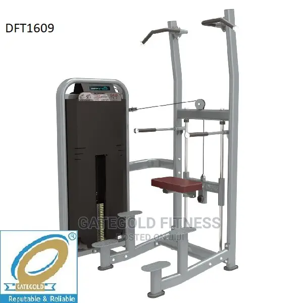 DFT1609 Weight Assisted Chin+ Dip