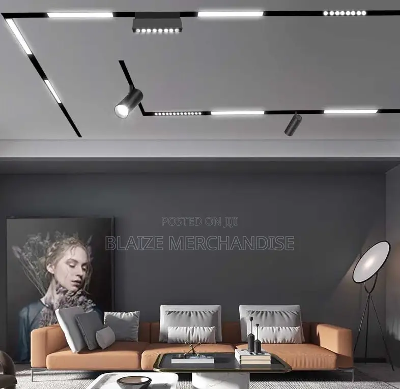 Luxury Magnetic Track Light Rail