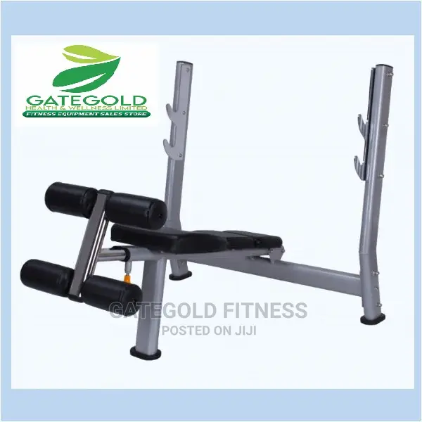 A51 Decline Weight Bench