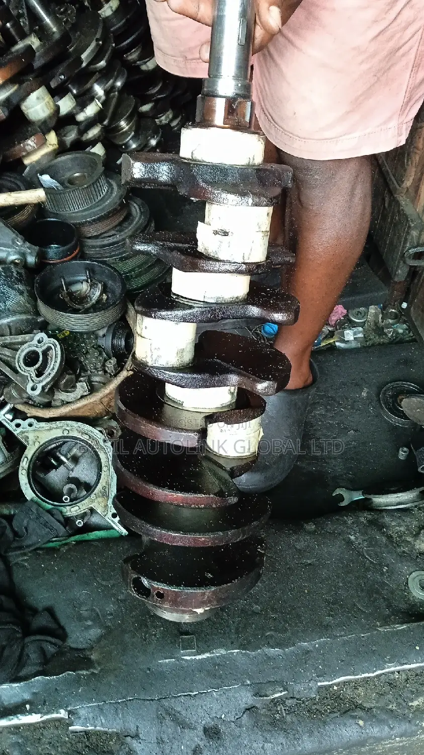 Complete Crankshaft With Metal and Main Bearings Sequoia