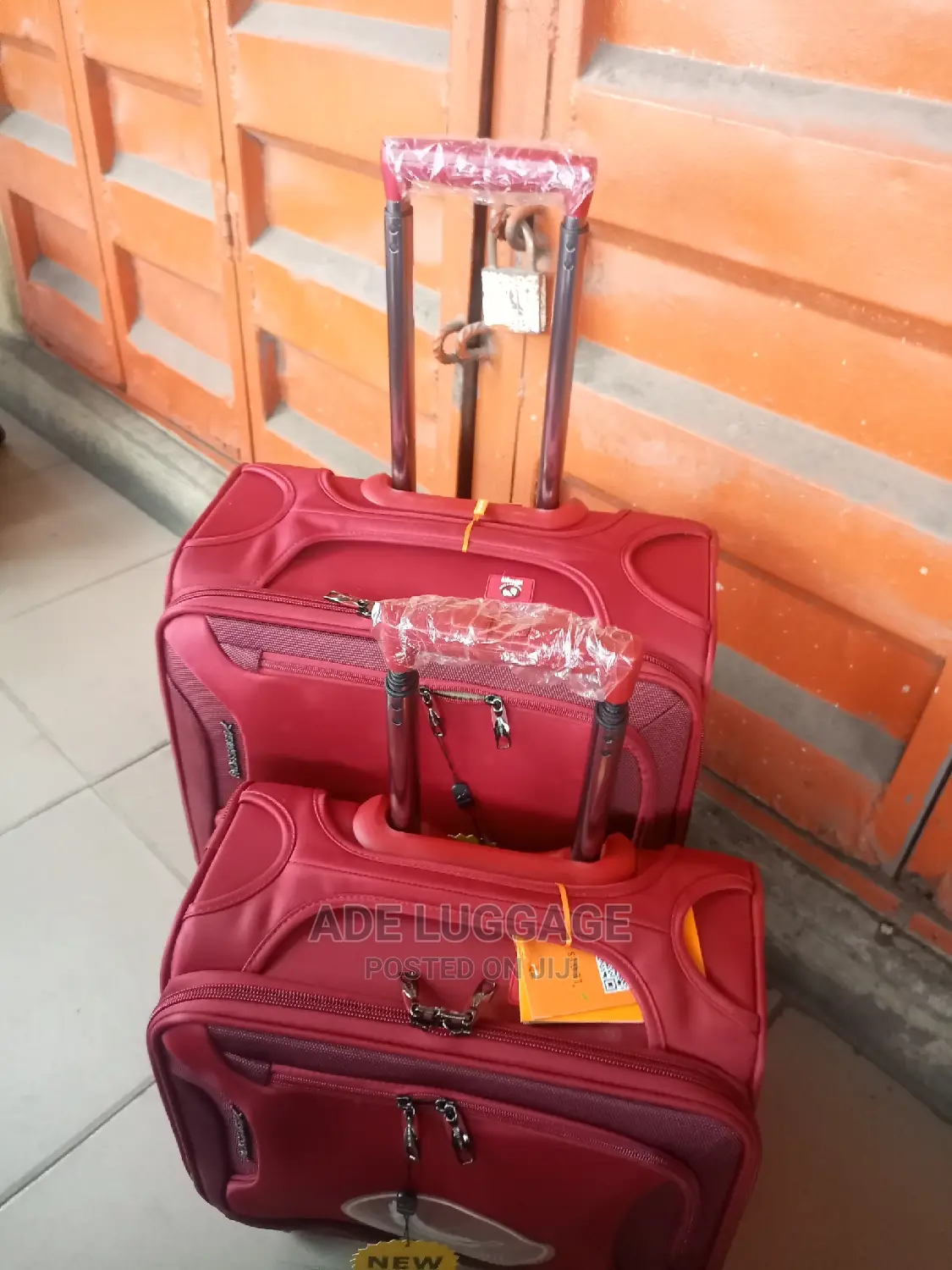 Leaves King Luggage Box Set